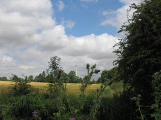 17. July 2114 walk.jpg